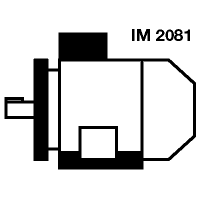 Конструктивные исполнения электродвигателя